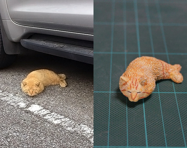 《炸蝦貓》據說虎斑貓有時會變身成炸蝦，於是就乾脆把牠實體化ww