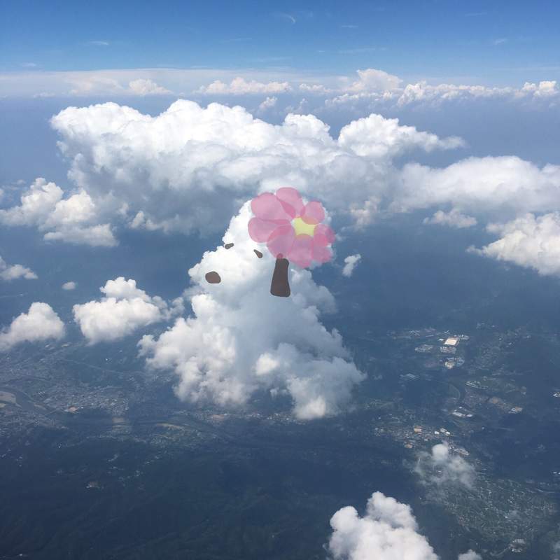 圖片2 圖片2