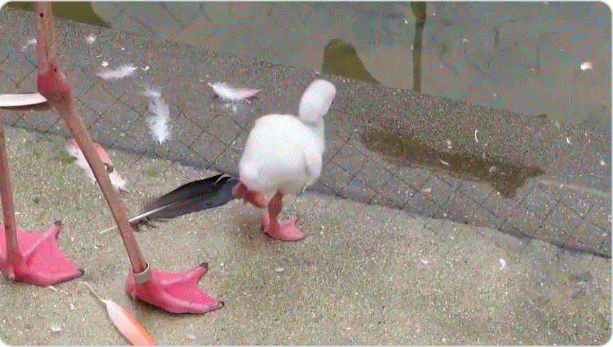 圖片2 圖片2