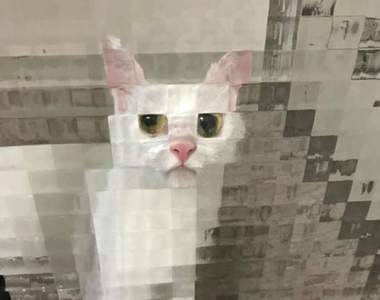 你家也有《低解析度貓咪》嗎？只要把貓放在方格玻璃後面就會自動轉換成8bit版w