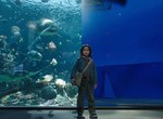 《水行俠特效對比》這樣的特效沒入圍奧斯卡 難怪溫子仁火大... 《水行俠特效對比》這樣的特效沒入圍奧斯卡 難怪溫子仁火大...