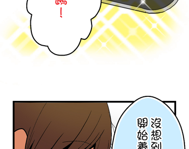 小鸚鵡飼養日記 第58話