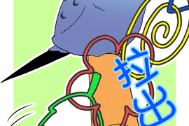 小鸚鵡飼養日記 第60話