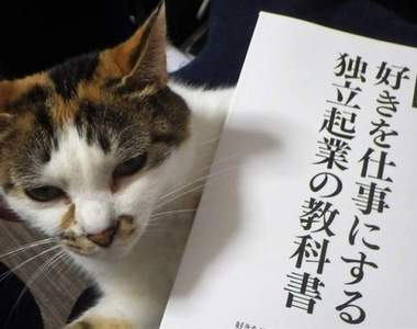 【推特瘋傳】日本免費取閱《獨立創業教科書》教你如何把興趣當成工作,內容宛如拷問靈魂…