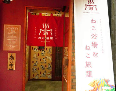 澡堂風流浪貓咖啡廳《貓浴場》被貓包圍的"貓浴健康法"讓你身心同時紓壓