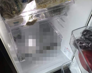 驚！《爸爸的冰箱飼育》爸爸把○○養在冰箱裡，竟然還活過了一個禮拜...