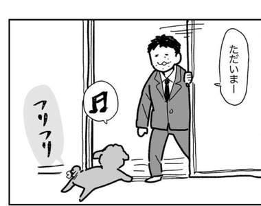 《對回來的人異常喜歡的狗狗》無論你出門多久都像10年沒見一樣熱情迎接ww