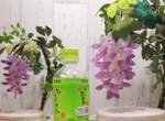 美到不行《紫藤花夜燈》造型漂亮夢幻甚至還有驅鬼功能(誤) 美到不行《紫藤花夜燈》造型漂亮夢幻甚至還有驅鬼功能(誤)