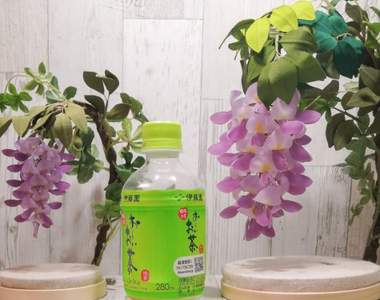 美到不行《紫藤花夜燈》造型漂亮夢幻甚至還有驅鬼功能(誤)