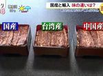 《你不知道的鰻魚祕密》日本台灣中國的鰻魚比一比 記者盲測試吃的結果…… 《你不知道的鰻魚祕密》日本台灣中國的鰻魚比一比 記者盲測試吃的結果……