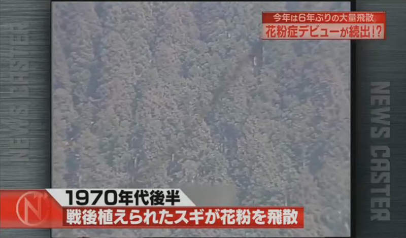 花粉症6年高峰期 觀光客遊日本也受苦外國人為什麼堅持不戴口罩呢