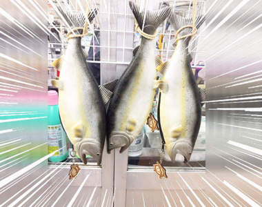 新千歲機場名產《鮭魚包》這款包很潮而且潮到出水（；^ω^）