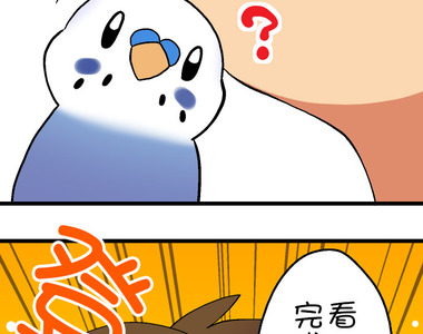 小鸚鵡飼養日記 第89話