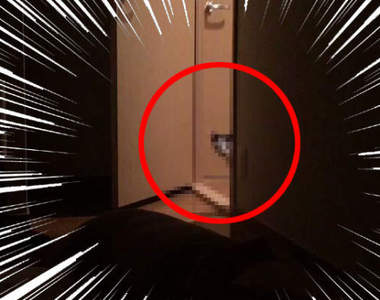 【有片】還以為看到鬼《在寢室前看著你的貓》半夜看到這個真的會嚇死