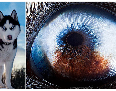 看透你的靈魂《眼鏡特寫》掀起靈魂之窗的窗簾吧