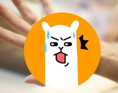 別出心裁的《養蜘蛛目的》老公想養蜘蛛只因為不想岳母一直來家裡...why?