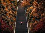 京都最辛苦的美景《明治天皇伏見桃山陵》階數竟然還超越車站那有名的大階梯!? 京都最辛苦的美景《明治天皇伏見桃山陵》階數竟然還超越車站那有名的大階梯!?
