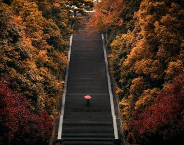 京都最辛苦的美景《明治天皇伏見桃山陵》階數竟然還超越車站那有名的大階梯!?