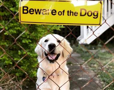 惡犬定義好模糊《意味不明的惡犬警告牌》你確定這些孩子是惡犬嗎w