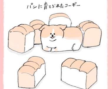 吐司會進化成柯基？《被食物養大的狗狗》你知道你家狗狗是哪種食物來的嗎？