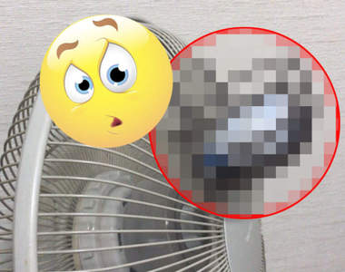 省電酷暑對策《加強電風扇冷度的方法》保冷劑結冰水通通給我用上去ღ(◔ڼ◔ღ)ミ