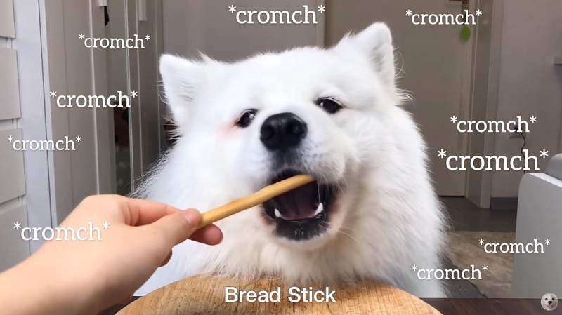 圖片1 圖片1