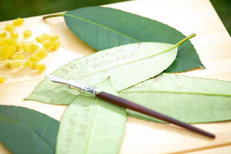 北海道星野度假村《羊咩咩邮差》登场!超可爱~但有可能中途嘴馋就把你的「信」给吃了w - 图片6 北海道星野度假村《羊咩咩邮差》登场!超可爱~但有可能中途嘴馋就把你的「信」给吃了w