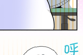 小鸚鵡飼養日記 第97話