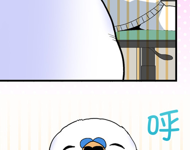 小鸚鵡飼養日記 第97話