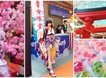 【超好玩】漫博19《陰陽師Onmyoji》降臨現世,還原真實場景!式神cosplay齊聚夏日花火祭❤❤❤(圖多)    【超好玩】漫博19《陰陽師Onmyoji》降臨現世,還原真實場景!式神cosplay齊聚夏日花火祭❤❤❤(圖多)