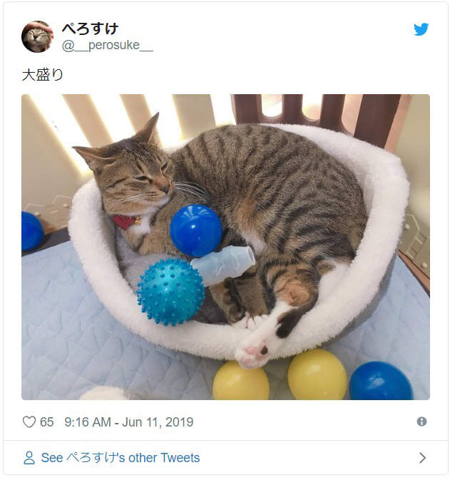 圖片3 圖片3