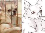 腦補力十足的《動物梗圖》因錯視出現的爆紅畫面都在這啦~ 腦補力十足的《動物梗圖》因錯視出現的爆紅畫面都在這啦~