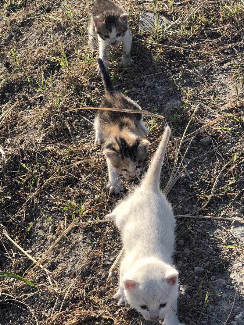 圖片2 圖片2