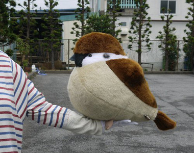 超治癒《肥嘟嘟鳥兒絨毛玩具》可以把臉直接埋進飽滿的肚肚中好幸福喔~~