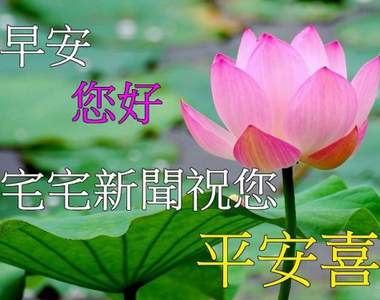 看膩長輩圖了嗎？《自己的長輩圖自己做》讓長輩做長輩圖的結果是...？