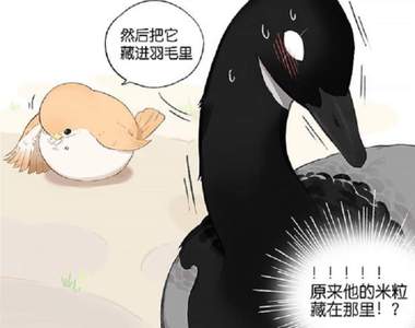 《南方的鳥和北方的鳥》更新 同場加映《我是手機隔壁是手機殼》感人後續