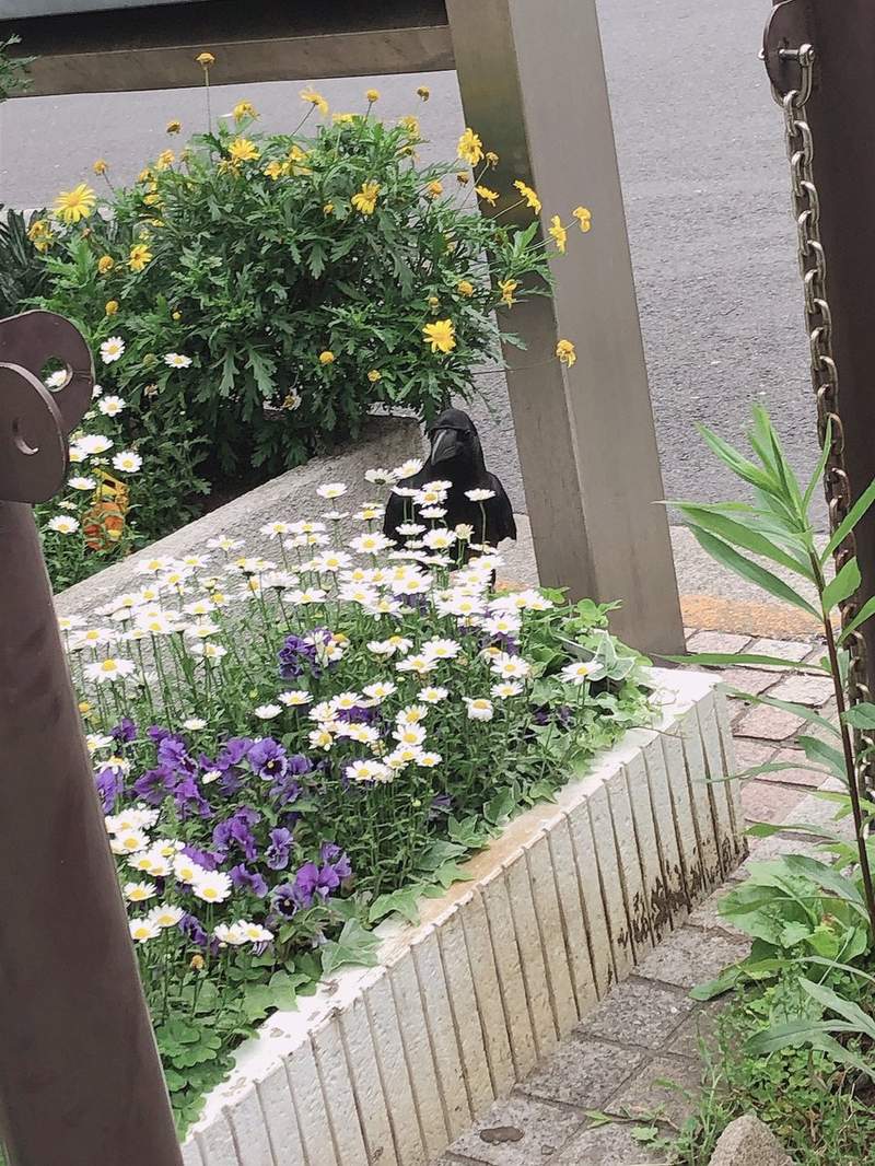 圖片3 圖片3