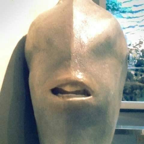 【閱覽注意】《翻車魚的正面》看習慣側面的生物,沒想到正面如此驚人... - 圖片2 【閱覽注意】《翻車魚的正面》看習慣側面的生物,沒想到正面如此驚人... - 圖片2