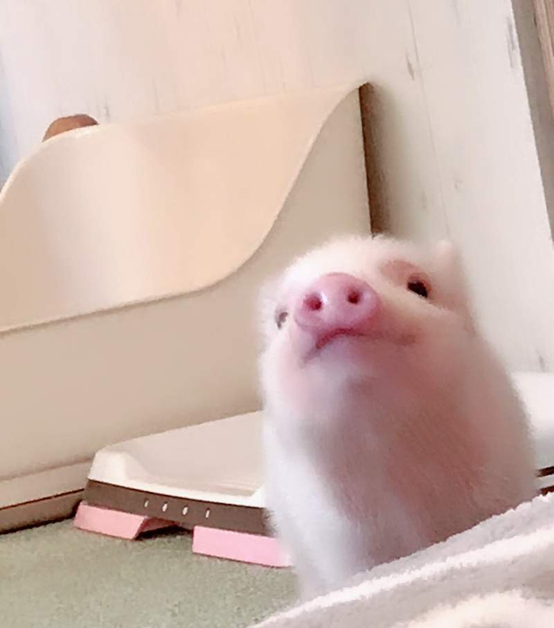 圖片2 圖片2