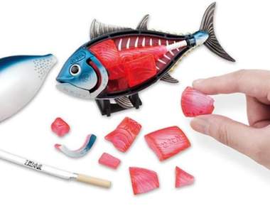 讓人食慾大暴走的《黑鮪魚解體拼圖》推出「前輩版」(笑),鮪魚前輩配色Ver.看起來更好吃