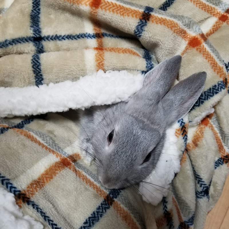 圖片2 圖片2