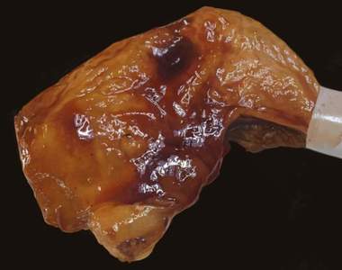 感覺超下飯《推友筆下的雞腿繪圖》看久了會餓你就知道有多像惹