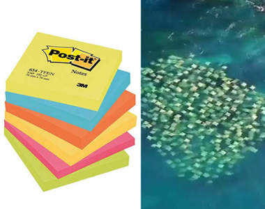 有沒有看錯《便條紙在海裡游泳》它們一定很想脫離辦公室的束縛對吧XD