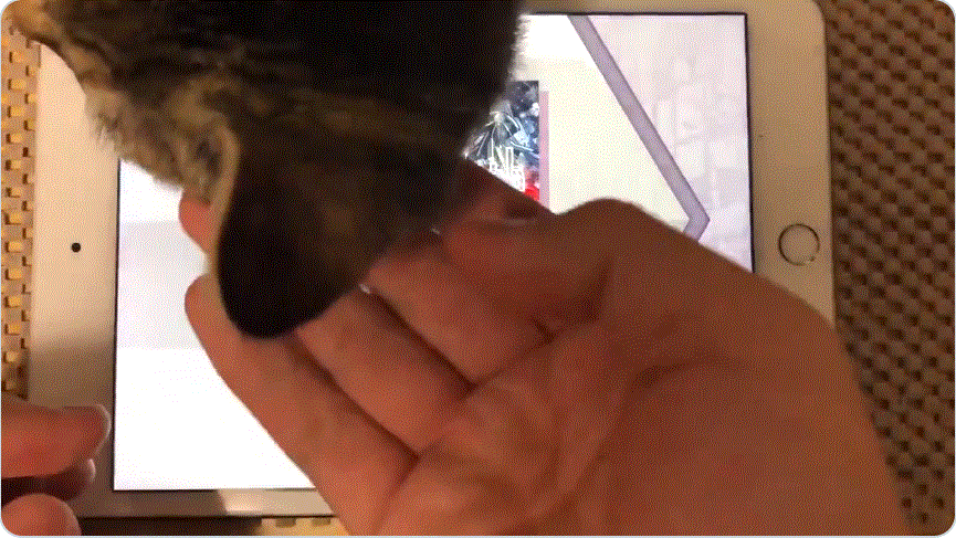 圖片3 圖片3