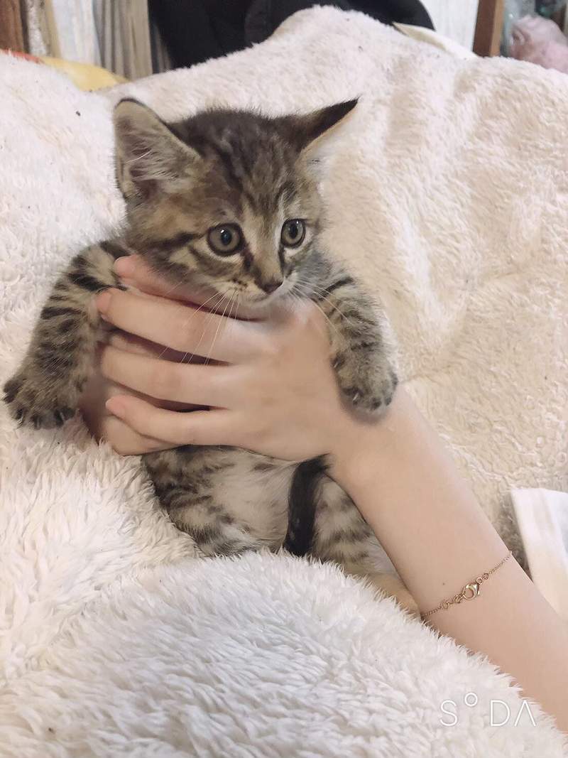 圖片2 圖片2