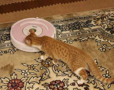 《來自掃地機器人的求救訊息》或許不器用卻也無法否定它的可愛❤