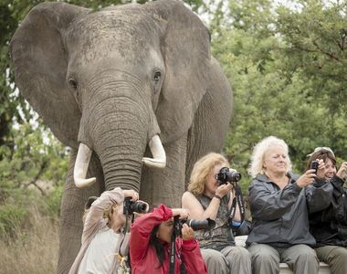 當你觀察動物時《動物也在觀察你》等等那這些照片誰拍的？