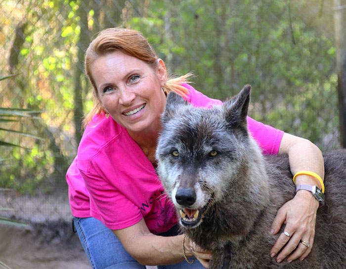 爆紅 保護區內的巨大狼犬 是狼跟德牧 雪橇犬的混血