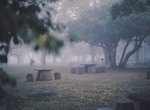 《日本關東濃霧》各地陷入《沉默之丘》狀態的異世界景象引發推特瘋傳... 《日本關東濃霧》各地陷入《沉默之丘》狀態的異世界景象引發推特瘋傳...