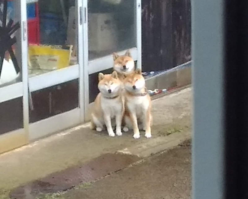 圖片2 圖片2